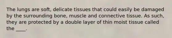 The lungs are soft, delicate tissues that could easily be damaged by the surrounding bone, muscle and connective tissue. As such, they are protected by a double layer of thin moist tissue called the ____.