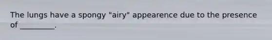 The lungs have a spongy "airy" appearence due to the presence of _________.