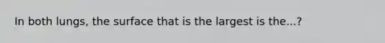 In both lungs, the surface that is the largest is the...?