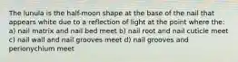 The lunula is the half-moon shape at the base of the nail that appears white due to a reflection of light at the point where the: a) nail matrix and nail bed meet b) nail root and nail cuticle meet c) nail wall and nail grooves meet d) nail grooves and perionychium meet