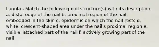 Lunula - Match the following nail structure(s) with its description. a. distal edge of the nail b. proximal region of the nail, embedded in the skin c. epidermis on which the nail rests d. white, crescent-shaped area under the nail's proximal region e. visible, attached part of the nail f. actively growing part of the nail