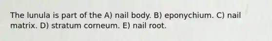 The lunula is part of the A) nail body. B) eponychium. C) nail matrix. D) stratum corneum. E) nail root.