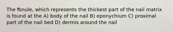 The lunule, which represents the thickest part of the nail matrix is found at the A) body of the nail B) eponychium C) proximal part of the nail bed D) dermis around the nail