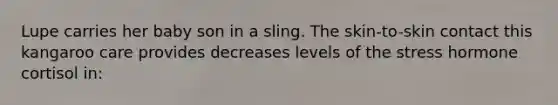 Lupe carries her baby son in a sling. The skin-to-skin contact this kangaroo care provides decreases levels of the stress hormone cortisol in: