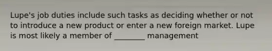 Lupe's job duties include such tasks as deciding whether or not to introduce a new product or enter a new foreign market. Lupe is most likely a member of ________ management