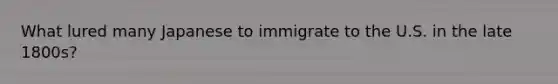 What lured many Japanese to immigrate to the U.S. in the late 1800s?