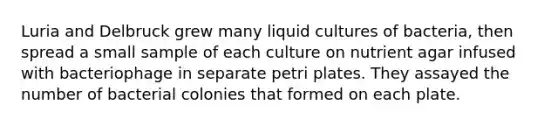 Luria and Delbruck grew many liquid cultures of bacteria, then spread a small sample of each culture on nutrient agar infused with bacteriophage in separate petri plates. They assayed the number of bacterial colonies that formed on each plate.