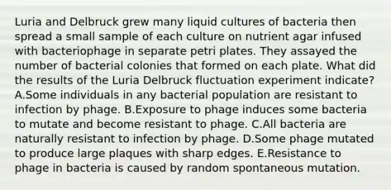 Luria and Delbruck grew many liquid cultures of bacteria then spread a small sample of each culture on nutrient agar infused with bacteriophage in separate petri plates. They assayed the number of bacterial colonies that formed on each plate. What did the results of the Luria Delbruck fluctuation experiment indicate? A.Some individuals in any bacterial population are resistant to infection by phage. B.Exposure to phage induces some bacteria to mutate and become resistant to phage. C.All bacteria are naturally resistant to infection by phage. D.Some phage mutated to produce large plaques with sharp edges. E.Resistance to phage in bacteria is caused by random spontaneous mutation.