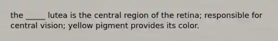 the _____ lutea is the central region of the retina; responsible for central vision; yellow pigment provides its color.