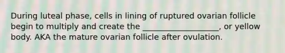 During luteal phase, cells in lining of ruptured ovarian follicle begin to multiply and create the ___________________, or yellow body. AKA the mature ovarian follicle after ovulation.