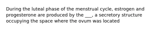 During the luteal phase of the menstrual cycle, estrogen and progesterone are produced by the ___, a secretory structure occupying <a href='https://www.questionai.com/knowledge/k0Lyloclid-the-space' class='anchor-knowledge'>the space</a> where the ovum was located