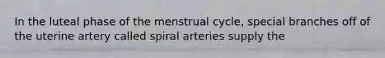 In the luteal phase of the menstrual cycle, special branches off of the uterine artery called spiral arteries supply the