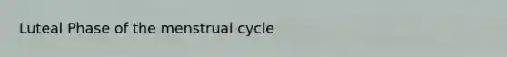 Luteal Phase of the menstrual cycle