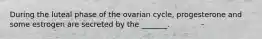 During the luteal phase of the ovarian cycle, progesterone and some estrogen are secreted by the _______.