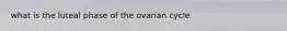 what is the luteal phase of the ovarian cycle
