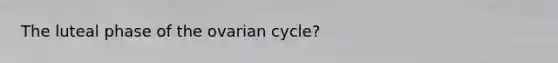 The luteal phase of the ovarian cycle?