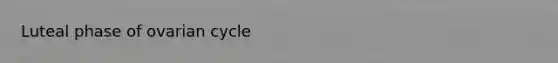 Luteal phase of ovarian cycle