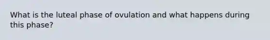 What is the luteal phase of ovulation and what happens during this phase?