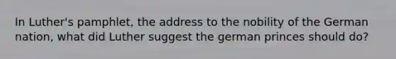 In Luther's pamphlet, the address to the nobility of the German nation, what did Luther suggest the german princes should do?