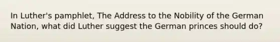 In Luther's pamphlet, The Address to the Nobility of the German Nation, what did Luther suggest the German princes should do?