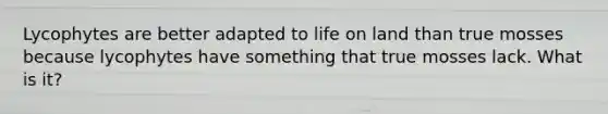 Lycophytes are better adapted to <a href='https://www.questionai.com/knowledge/k9VzeMAjx8-life-on-land' class='anchor-knowledge'>life on land</a> than true mosses because lycophytes have something that true mosses lack. What is it?