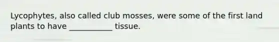Lycophytes, also called club mosses, were some of the first land plants to have ___________ tissue.