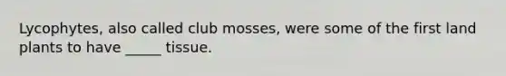 Lycophytes, also called club mosses, were some of the first land plants to have _____ tissue.