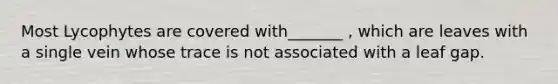 Most Lycophytes are covered with_______ , which are leaves with a single vein whose trace is not associated with a leaf gap.