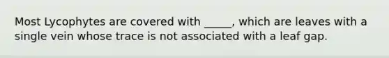 Most Lycophytes are covered with _____, which are leaves with a single vein whose trace is not associated with a leaf gap.