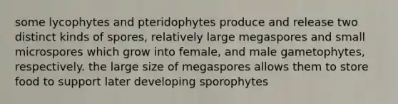 some lycophytes and pteridophytes produce and release two distinct kinds of spores, relatively large megaspores and small microspores which grow into female, and male gametophytes, respectively. the large size of megaspores allows them to store food to support later developing sporophytes