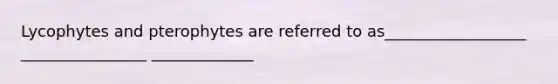 Lycophytes and pterophytes are referred to as__________________ ________________ _____________