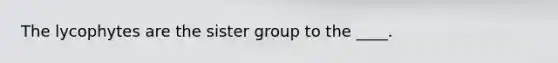 The lycophytes are the sister group to the ____.