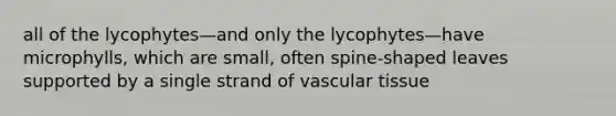 all of the lycophytes—and only the lycophytes—have microphylls, which are small, often spine-shaped leaves supported by a single strand of vascular tissue