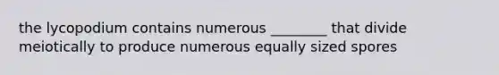 the lycopodium contains numerous ________ that divide meiotically to produce numerous equally sized spores