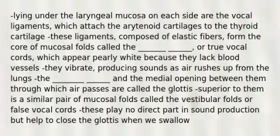 -lying under the laryngeal mucosa on each side are the vocal ligaments, which attach the arytenoid cartilages to the thyroid cartilage -these ligaments, composed of elastic fibers, form <a href='https://www.questionai.com/knowledge/kD8KqkX2aO-the-core' class='anchor-knowledge'>the core</a> of mucosal folds called the _______ ______, or true vocal cords, which appear pearly white because they lack <a href='https://www.questionai.com/knowledge/kZJ3mNKN7P-blood-vessels' class='anchor-knowledge'>blood vessels</a> -they vibrate, producing sounds as air rushes up from the lungs -the ________ ______ and the medial opening between them through which air passes are called the glottis -superior to them is a similar pair of mucosal folds called the vestibular folds or false vocal cords -these play no direct part in sound production but help to close the glottis when we swallow