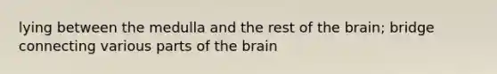 lying between the medulla and the rest of the brain; bridge connecting various parts of the brain