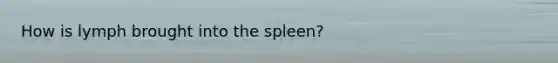 How is lymph brought into the spleen?