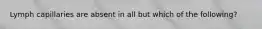 Lymph capillaries are absent in all but which of the following?