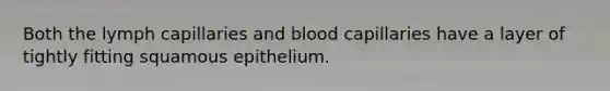 Both the lymph capillaries and blood capillaries have a layer of tightly fitting squamous epithelium.