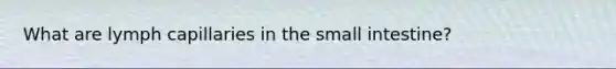 What are lymph capillaries in the small intestine?