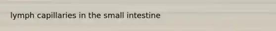 lymph capillaries in <a href='https://www.questionai.com/knowledge/kt623fh5xn-the-small-intestine' class='anchor-knowledge'>the small intestine</a>