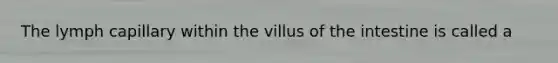 The lymph capillary within the villus of the intestine is called a