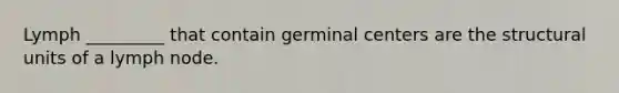 Lymph _________ that contain germinal centers are the structural units of a lymph node.