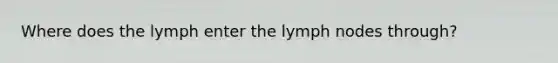 Where does the lymph enter the lymph nodes through?