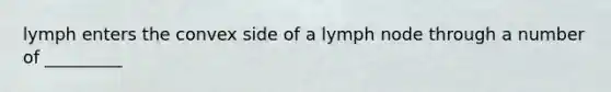 lymph enters the convex side of a lymph node through a number of _________