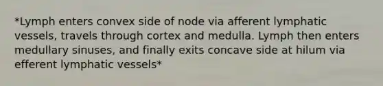 *Lymph enters convex side of node via afferent <a href='https://www.questionai.com/knowledge/ki6sUebkzn-lymphatic-vessels' class='anchor-knowledge'>lymphatic vessels</a>, travels through cortex and medulla. Lymph then enters medullary sinuses, and finally exits concave side at hilum via efferent lymphatic vessels*