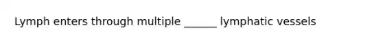 Lymph enters through multiple ______ lymphatic vessels