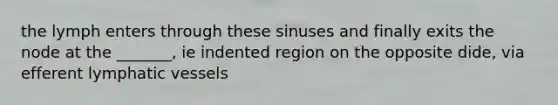 the lymph enters through these sinuses and finally exits the node at the _______, ie indented region on the opposite dide, via efferent lymphatic vessels