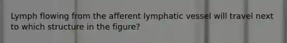 Lymph flowing from the afferent lymphatic vessel will travel next to which structure in the figure?