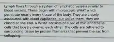 Lymph flows through a system of lymphatic vessels similar to blood vessels. These begin with microscopic WHAT which penetrate nearly every tissue of the body. They are closely associated with blood capillaries, but unlike them, they are closed at one end. A WHAT consists of a sac of thin endothelial cells that loosely overlap each other. The cells are tethered to surrounding tissue by protein filaments that prevent the sac from collapsing.